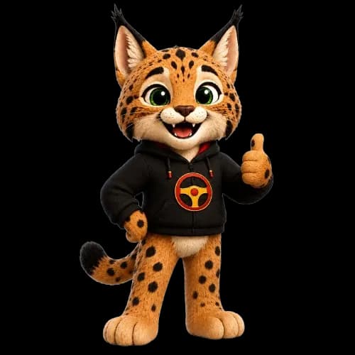 La mascota de SacaCarnet con el permiso B aprobado