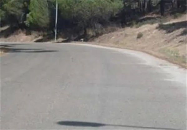 Imagen de apoyo para la pregunta: En esta curva de visibilidad reducida, ¿está permitido parar o estacionar?