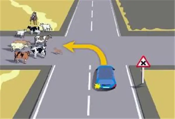 Imagen de apoyo para la pregunta: En esta situación, ¿tienen prioridad de paso los animales sobre el vehículo?