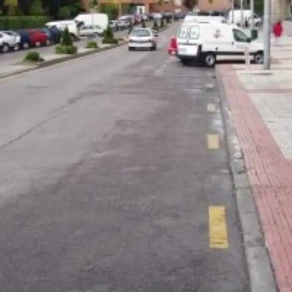 Imagen de apoyo para la pregunta: ¿Puede estacionar su vehículo junto al borde de esta calzada?